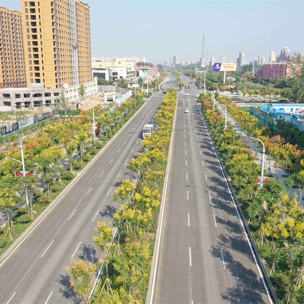 山東省鄆城縣城區(qū)道路政府和社會資本合作（PPP)項目